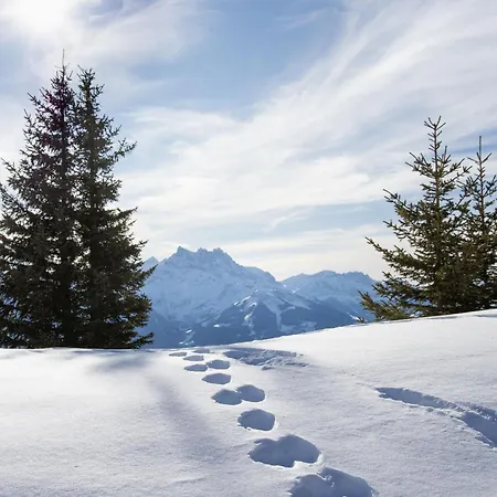 Le Bouquetin 5 By Interhome Villars-sur-Ollon