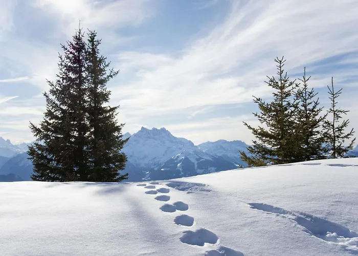 Le Bouquetin 5 By Interhome Villars-sur-Ollon