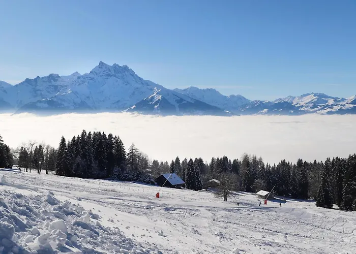 Le Bouquetin 5 By Interhome Lejlighed *